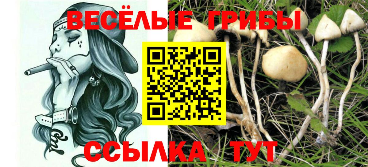 Лысьва  где купить   Вход с VPN  Псилоцибиновые грибы мухоморы  Псилоцибиновые грибы MAGIC MUSHROOMS 