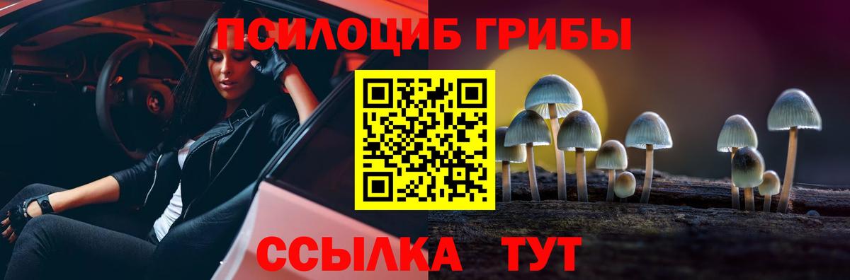 Галлюциногенные грибы Magic Shrooms Лысьва